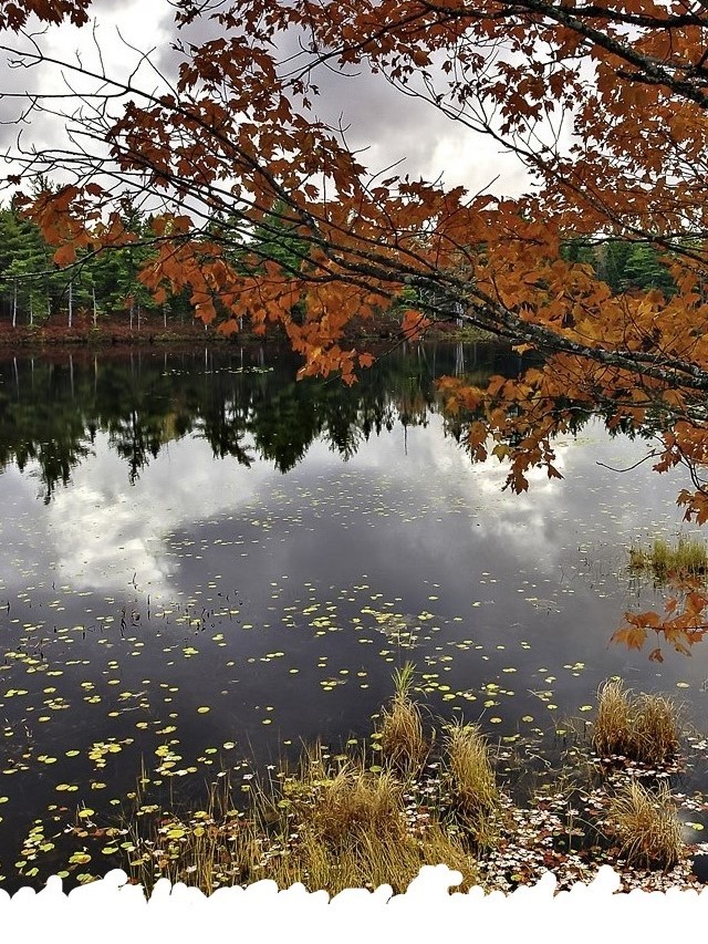 The amazing nature of Nova Scotia